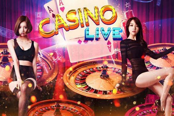 net bet Live Betting